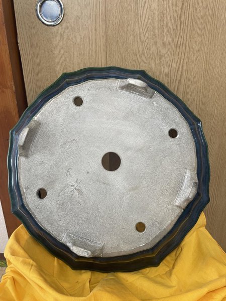 Photo3: No.SA6456 Mazan (3)