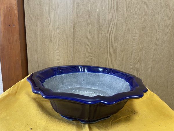 Photo1: No.SA6458 Mazan (1)