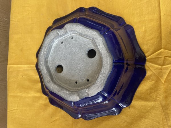 Photo3: No.SA6458 Mazan (3)