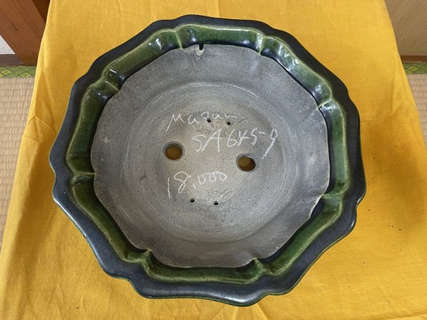 Photo2: No.SA6459 Mazan (2)