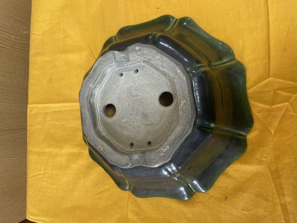 Photo3: No.SA6459 Mazan (3)