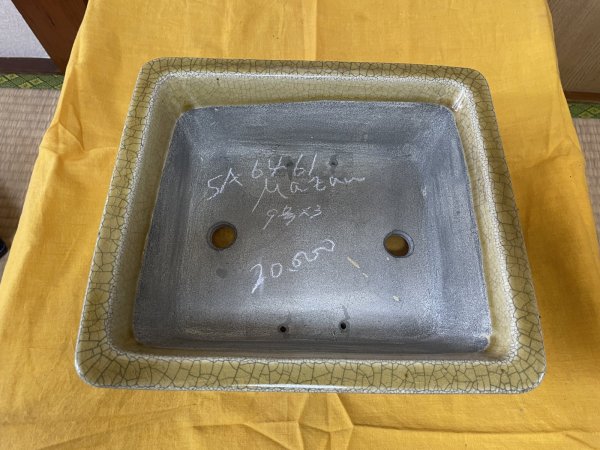 Photo2: No.SA6461 Mazan (2)