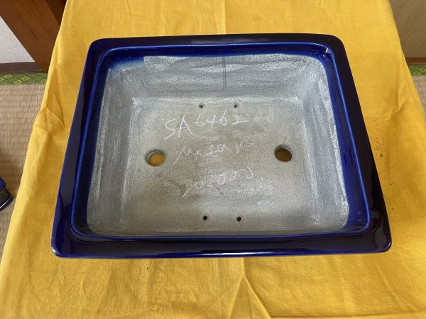 Photo2: No.SA6462 Mazan (2)