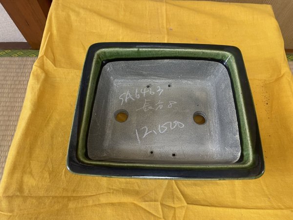 Photo2: No.SA6463 Mazan (2)