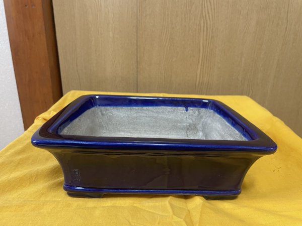 Photo1: No.SA6464 Mazan (1)