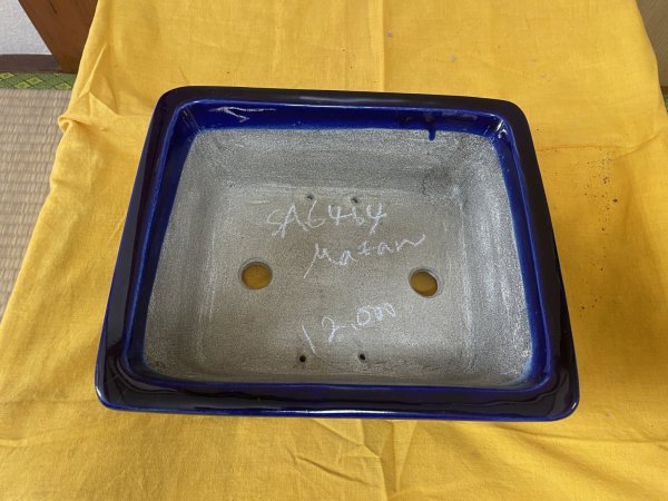 Photo2: No.SA6464 Mazan (2)