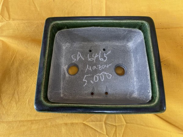 Photo2: No.SA6465 Mazan (2)