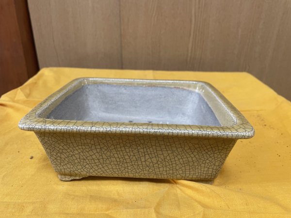 Photo1: No.SA6466 Mazan (1)