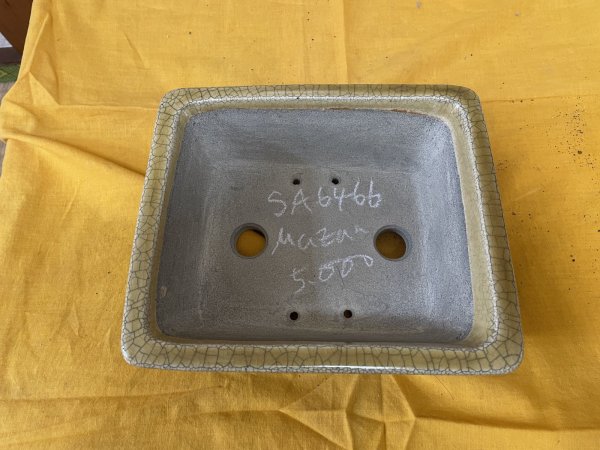 Photo2: No.SA6466 Mazan (2)