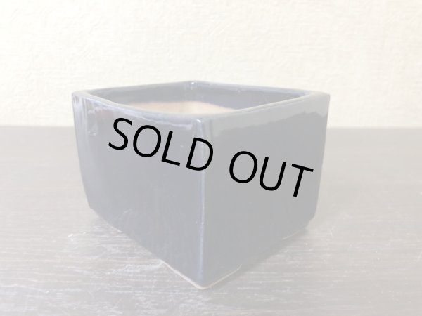 Photo2: No.EA0520  Kataoka (2)