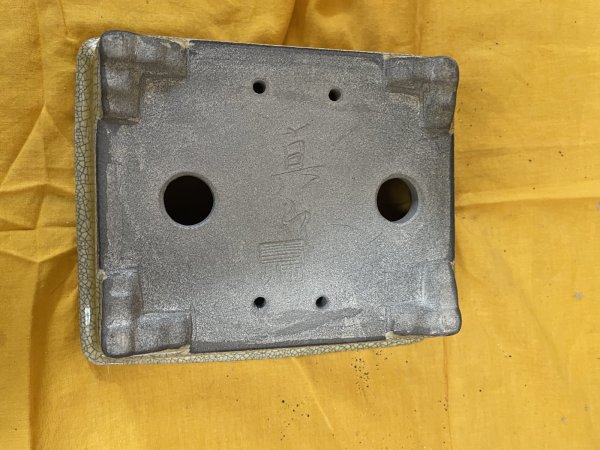 Photo3: No.SA6466 Mazan (3)