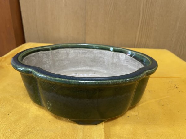 Photo1: No.SA6467 Mazan (1)