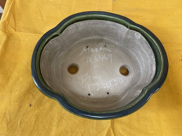 Photo2: No.SA6467 Mazan (2)