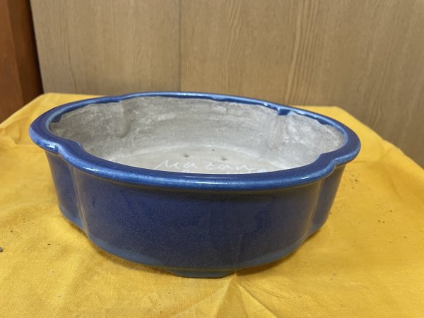 Photo1: No.SA6468 Mazan (1)