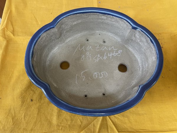 Photo2: No.SA6468 Mazan (2)