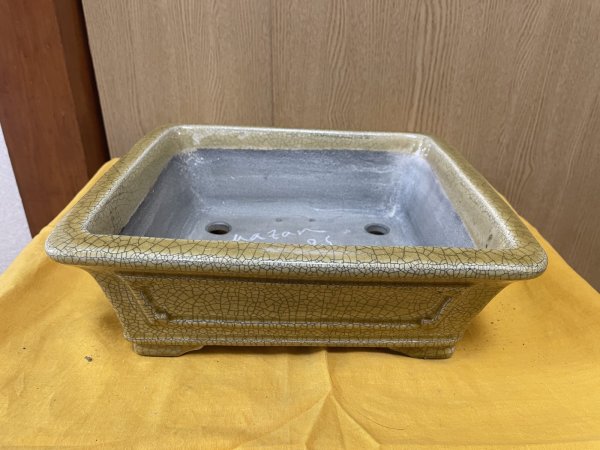 Photo1: No.SA6469 Mazan (1)