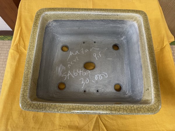 Photo2: No.SA6469 Mazan (2)