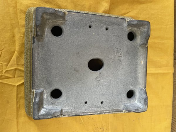 Photo3: No.SA6469 Mazan (3)