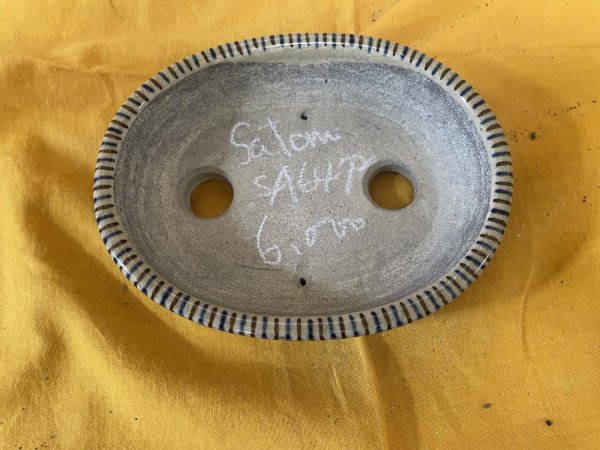 Photo2: No.SA6472 Satomi (2)