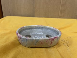 Satomi pots | Bonsai Network Japan