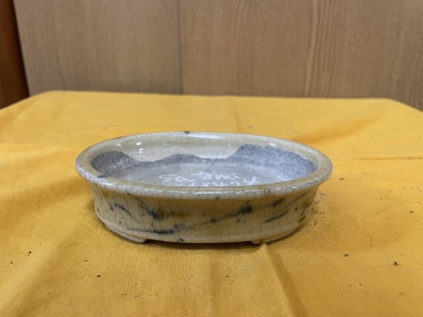 Photo1: No.SA6474 Satomi (1)