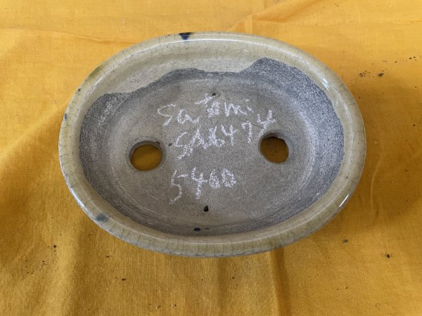 Photo2: No.SA6474 Satomi (2)