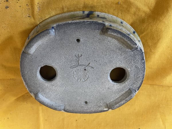 Photo3: No.SA6474 Satomi (3)