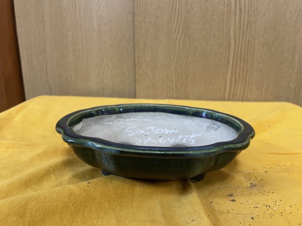 Photo1: No.SA6475 Satomi (1)