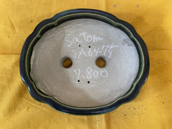 Photo2: No.SA6475 Satomi (2)