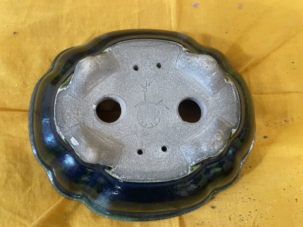 Photo3: No.SA6475 Satomi (3)