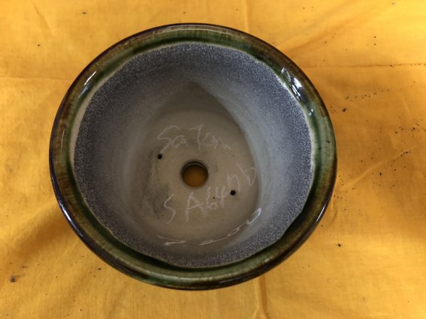 Photo2: No.SA6476 Satomi (2)