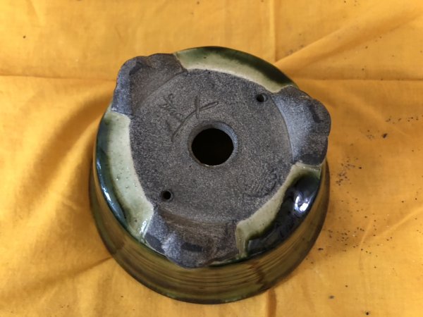 Photo3: No.SA6476 Satomi (3)