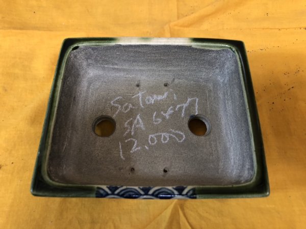 Photo2: No.SA6477 Satomi (2)