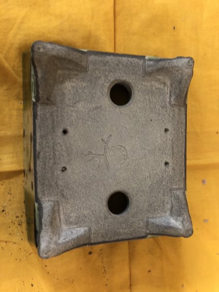 Photo3: No.SA6477 Satomi (3)