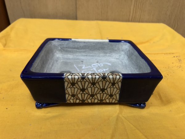 Photo1: No.SA6478 Satomi (1)