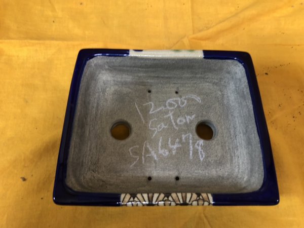 Photo2: No.SA6478 Satomi (2)