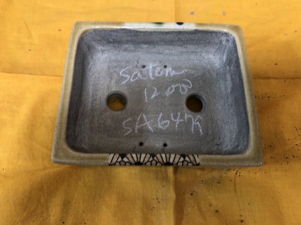 Photo2: No.SA6479 Satomi (2)