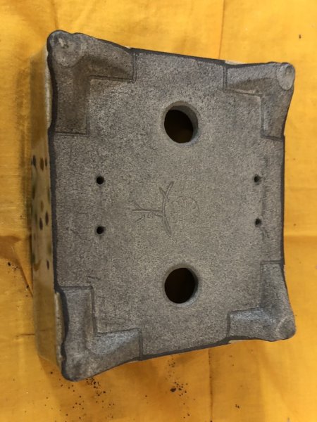 Photo3: No.SA6479 Satomi (3)