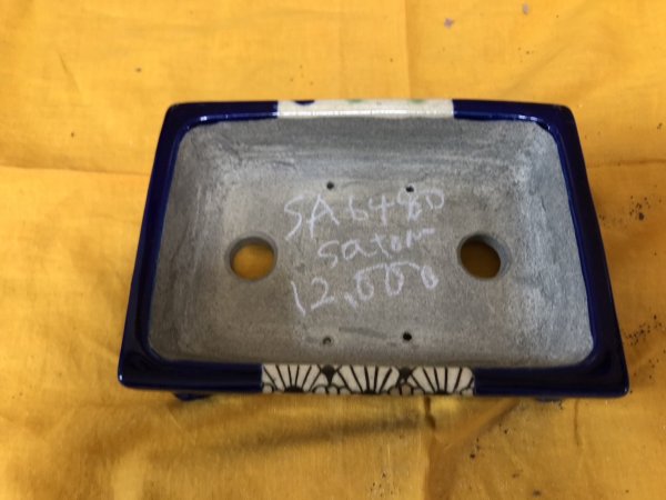 Photo2: No.SA6480 Satomi (2)