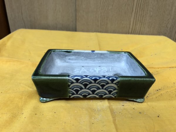 Photo1: No.SA6481 Satomi (1)