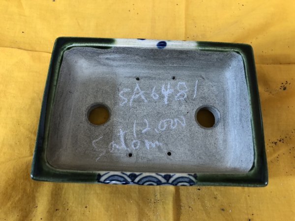 Photo2: No.SA6481 Satomi (2)