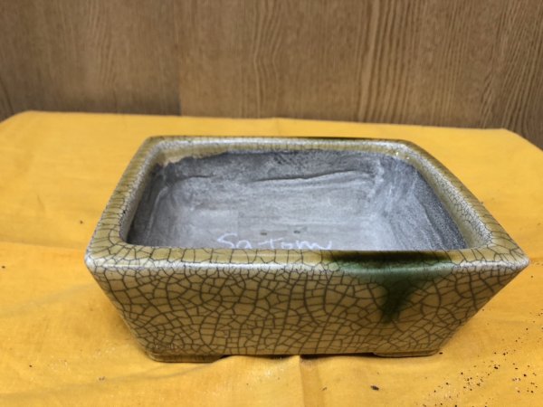 Photo1: No.SA6482 Satomi (1)