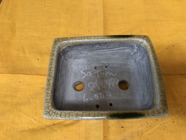 Photo2: No.SA6482 Satomi (2)