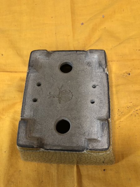 Photo3: No.SA6482 Satomi (3)