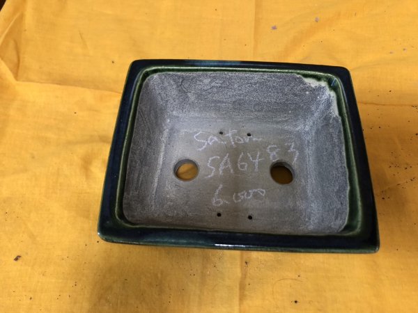 Photo2: No.SA6483 Satomi (2)