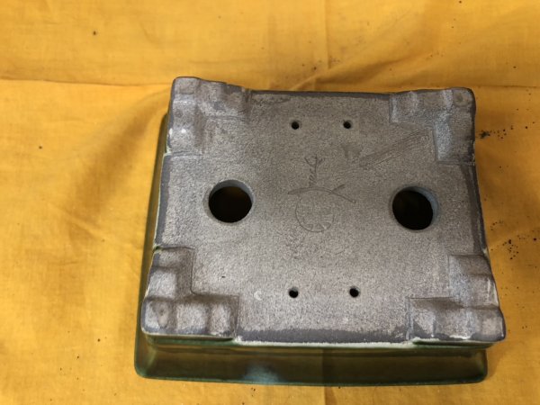 Photo3: No.SA6483 Satomi (3)