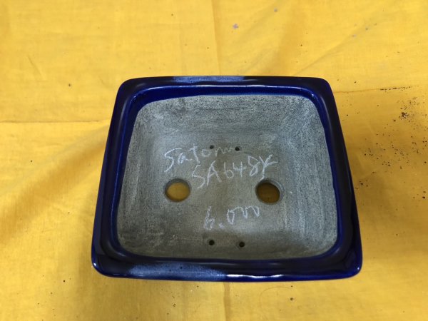 Photo2: No.SA6484 Satomi (2)