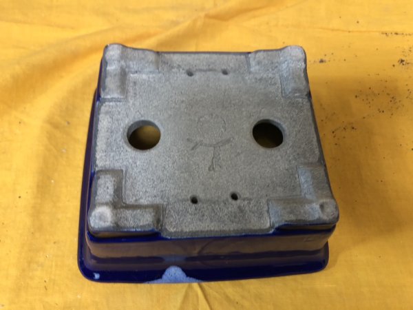 Photo3: No.SA6484 Satomi (3)