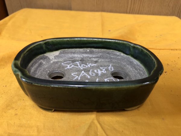 Photo1: No.SA6486 Satomi (1)