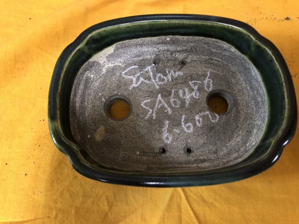 Photo2: No.SA6486 Satomi (2)